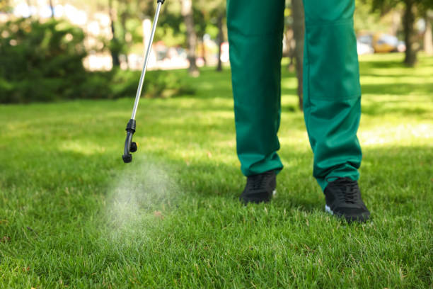 Trusted Alameda, CA Pest Control Experts