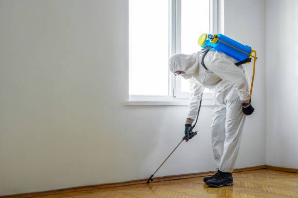 Best Pest Prevention Services  in Alameda, CA