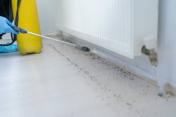 Best Best Pest Control Companies  in Alameda, CA